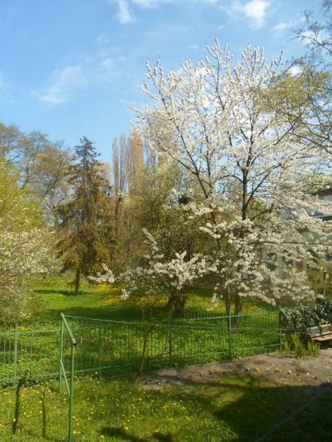 Apartament 100M Od Morza Sopot Dış mekan fotoğraf